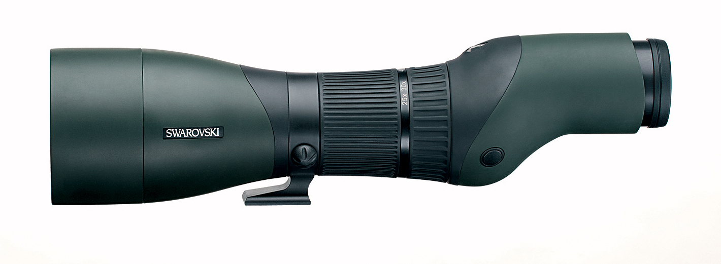 SWARO-STX_85.jpg