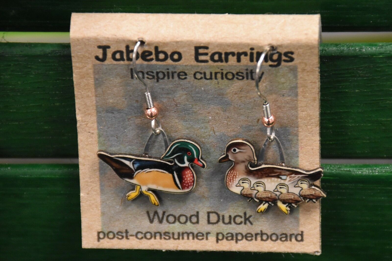 jab-woodduck.jpg